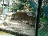 Dusit Zoo