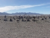 Un cimetière isolé, non loin du train