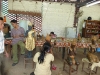 Artisans d'Angkor