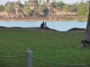 Angkor Wat