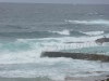 Bondi Beach