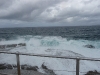 Bondi Beach